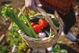 panier de légumes