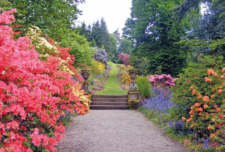 Jardin fleuri